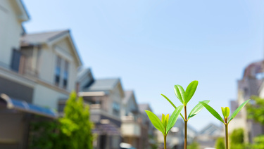 springtime condos