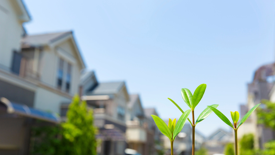 Plants emerge on a road, with homes blurred in the background.