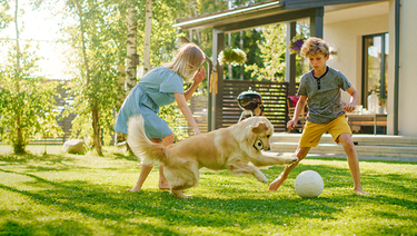 A young girl and boy play with their dog in the backyard of their home