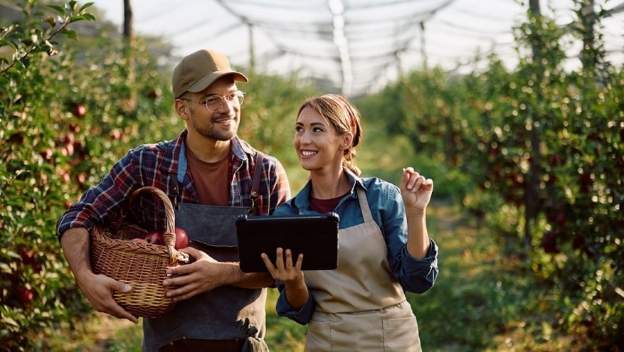 Two farmers stand in an apple orchard, smiling as they review information on a tablet — a visual nod to fall planning and financial organization before the busy holiday season