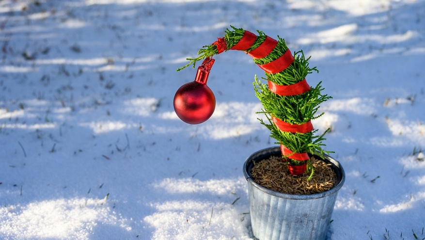 A small, whimsical Christmas tree sits in a metal pot on a snowy landscape, its top bent forward and wrapped in red and green ribbon with a single red ornament hanging from the tip.	