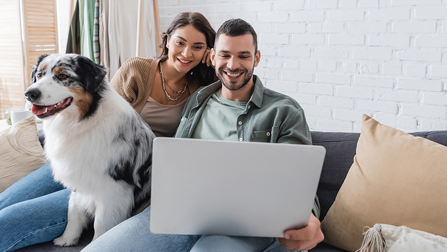 Couple smiling while using a laptop together on a couch with their dog