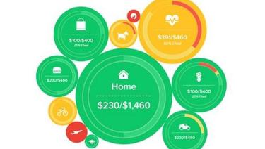 Personal Finance Management - Multi colored circles with dollar amounts and budget category icons.