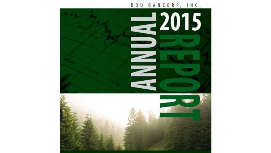 2015 Annual Report Cover