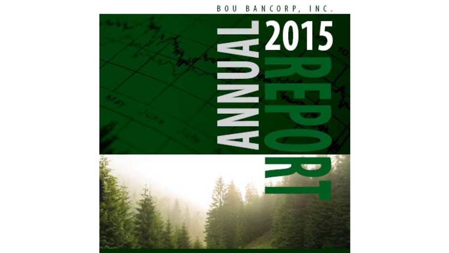 2015 Annual Report Cover