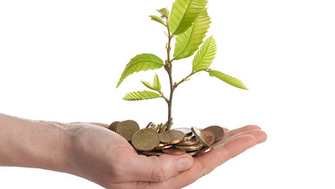 Small plant growing out of a handful of coins.